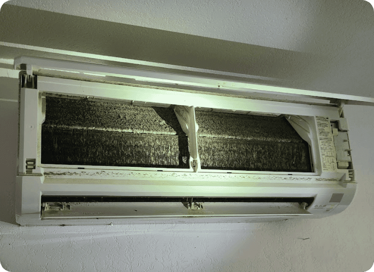 Moldy Ductless Rounded Compressed Boise, Idaho HVAC Company