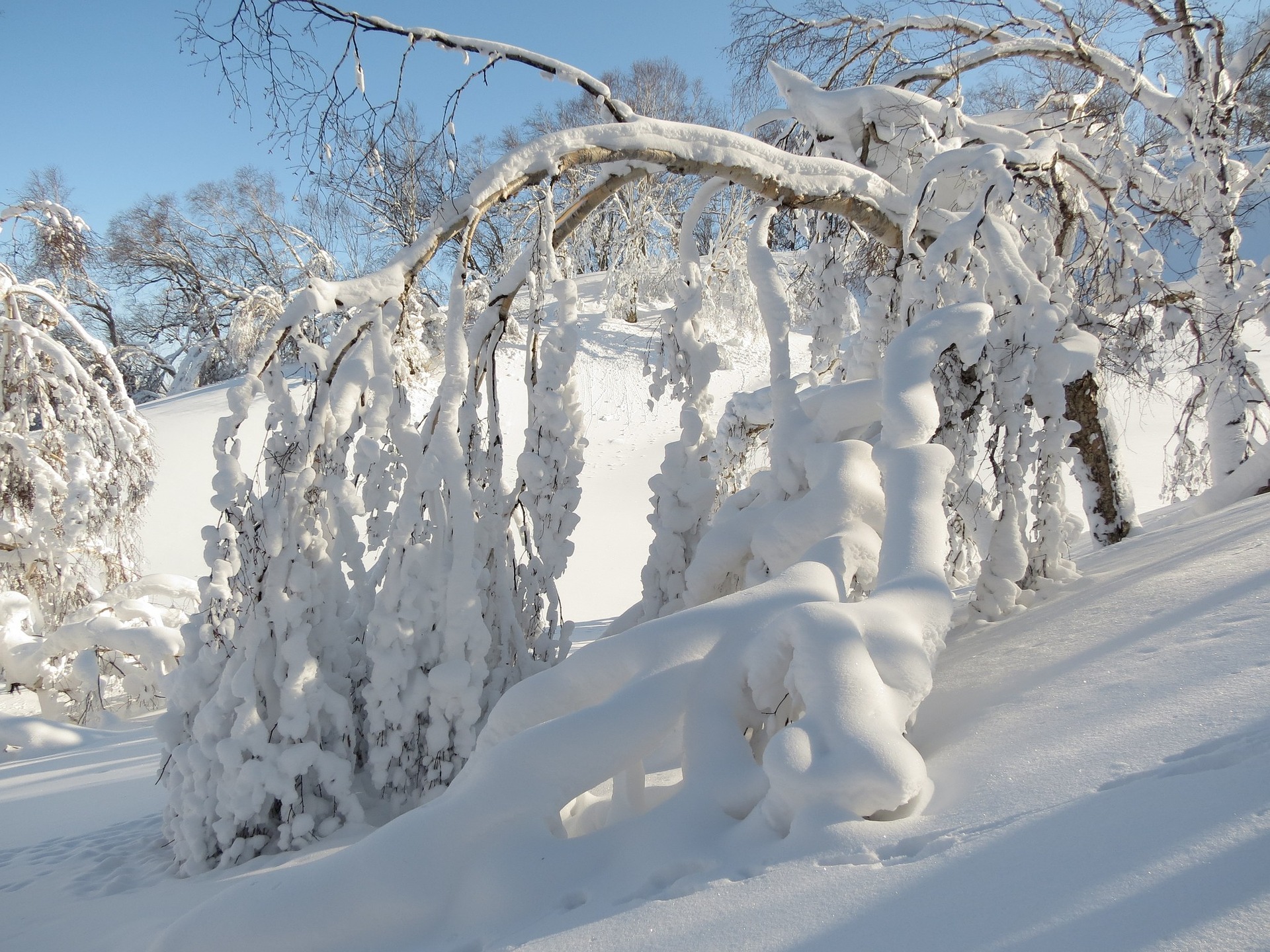 Determine how much ice melt you need this winter