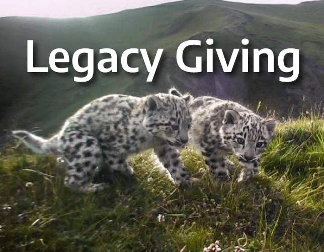 Legacy Giving