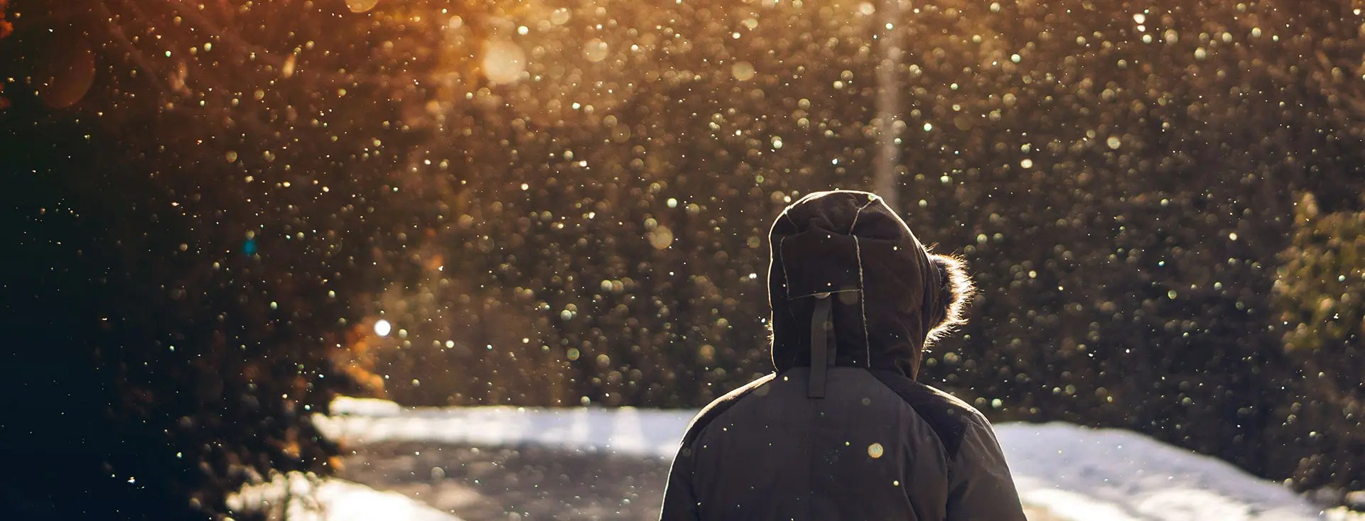 SnowPros Professional Snow Removal and DeIcing Services