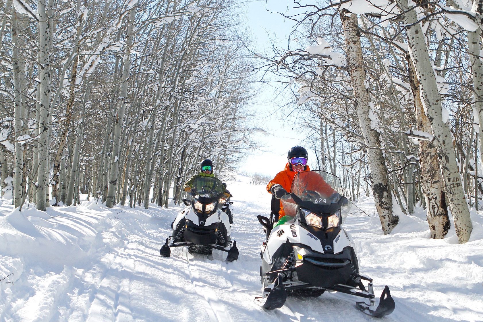 Deer Valley Snowscene