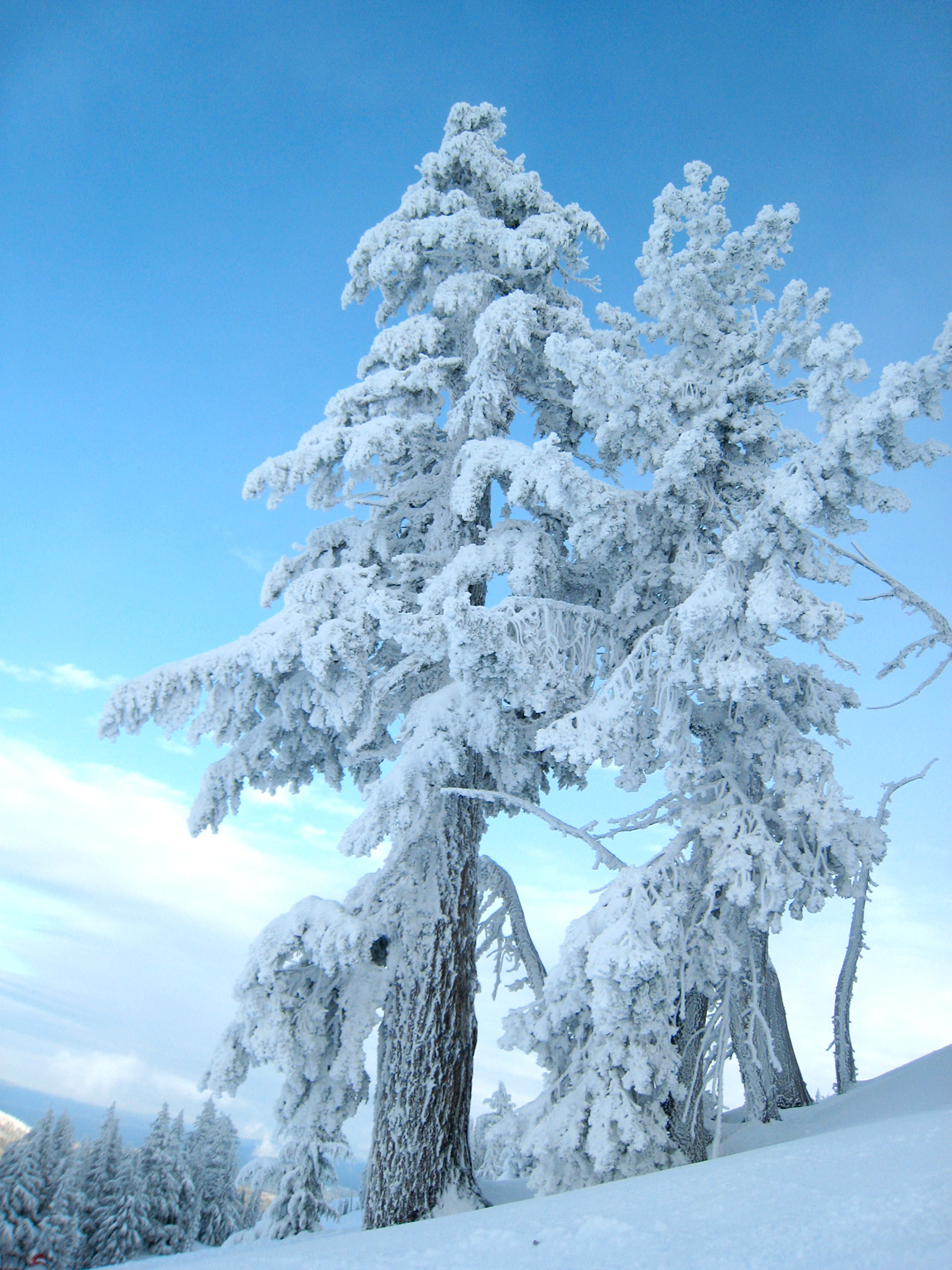 Spring Snowshoeing Near Bend, Oregon • Snowshoe Magazine