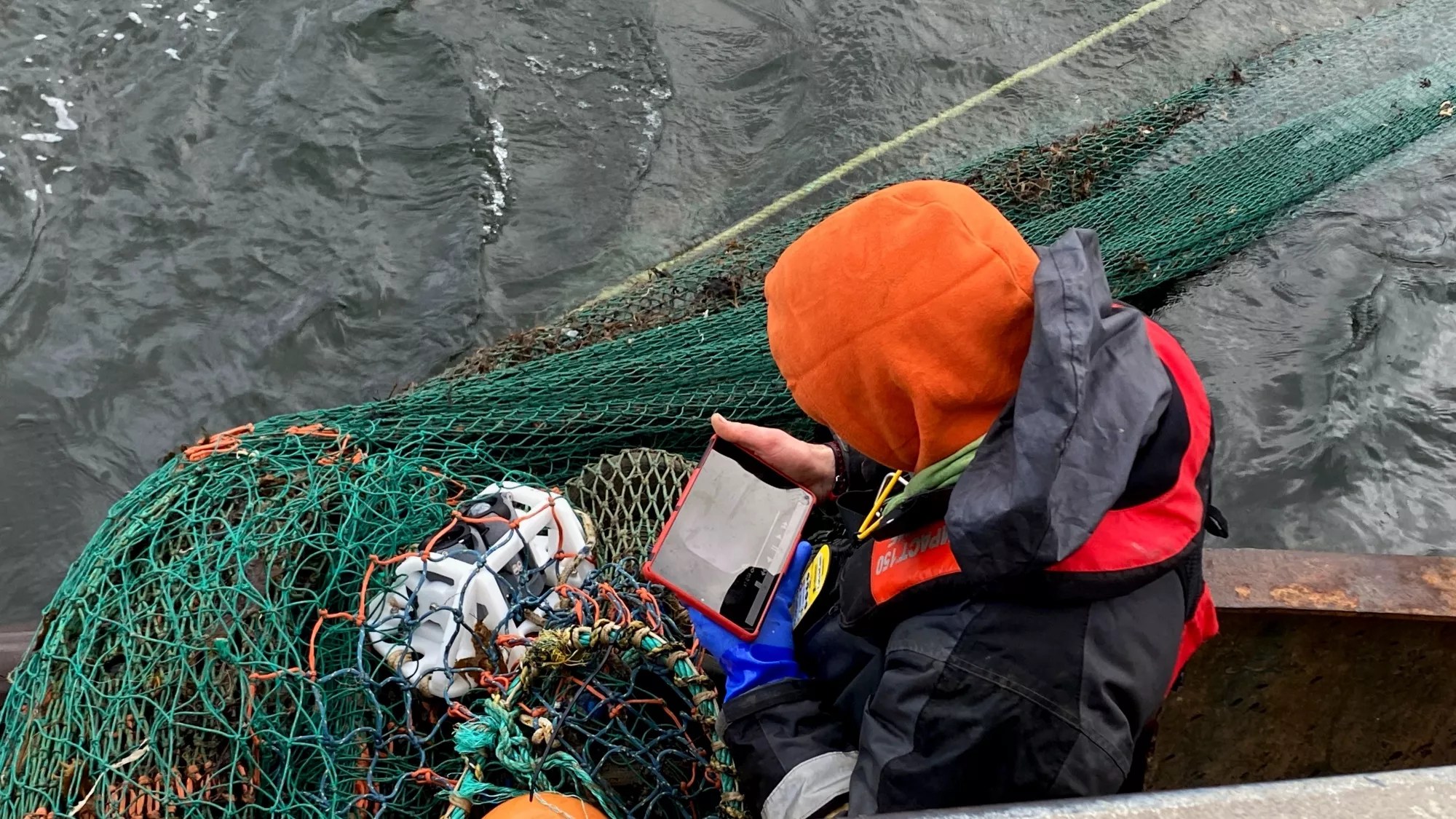 Reducing Bycatch with Underwater Cameras Technologies