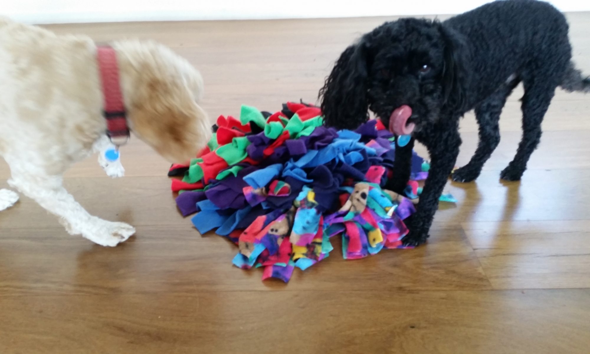 Snuffle Mat Snuffle Mat A fantastic enrichment toy for your pet.