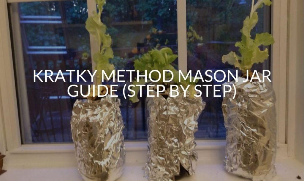 Kratky Method Mason Jar Guide (Step By Step) Soak And Soil