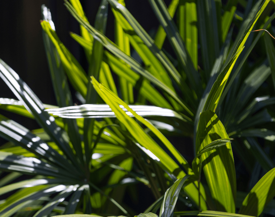 Day Spa on Gold Coast Bath House Gold Coast Best Day Spa Full Body