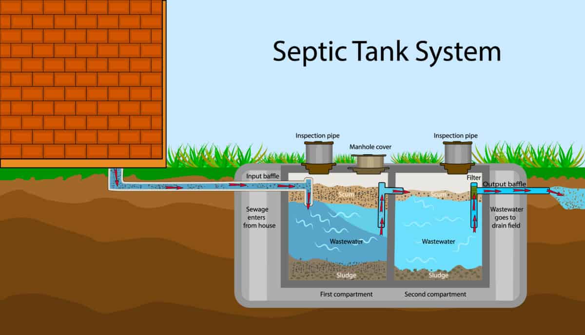Which Dish Detergent For Septic Systems? Does It Matter?