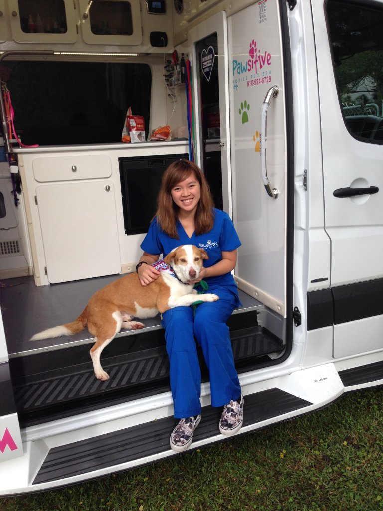 Pawsitively Grooming Day SouthportOak Island Animal Rescue