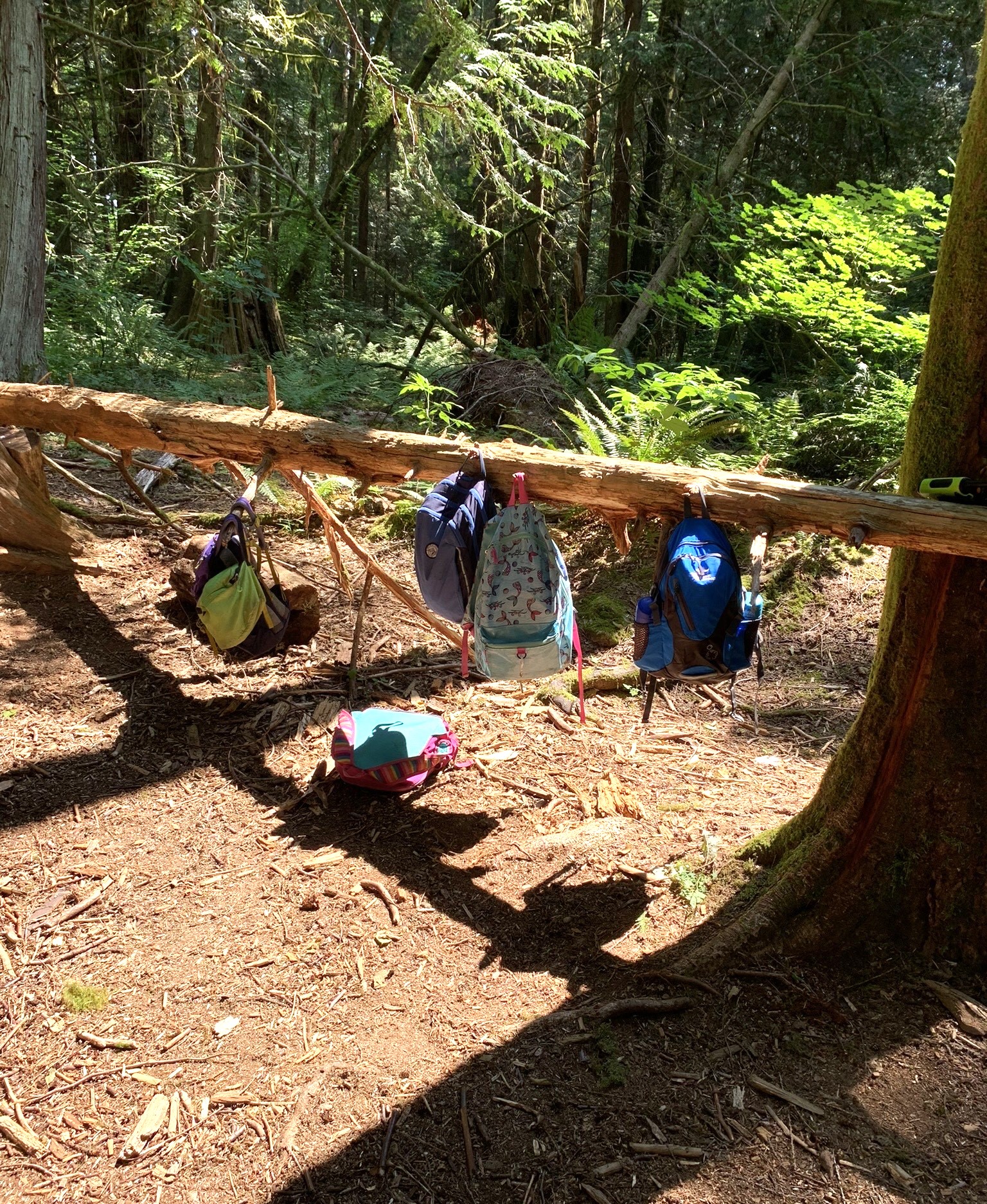 From Participant to Mentor The Magic and Challenges of Preserving Kids