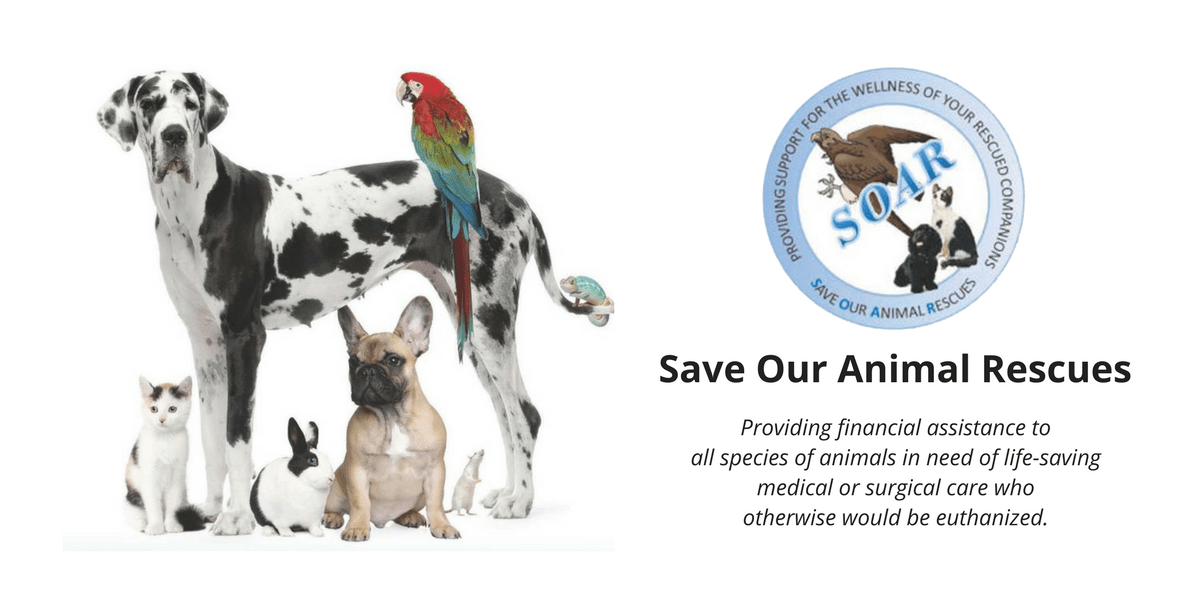 Save Our Animal Rescues (SOAR VA) Save Our Animal Rescues