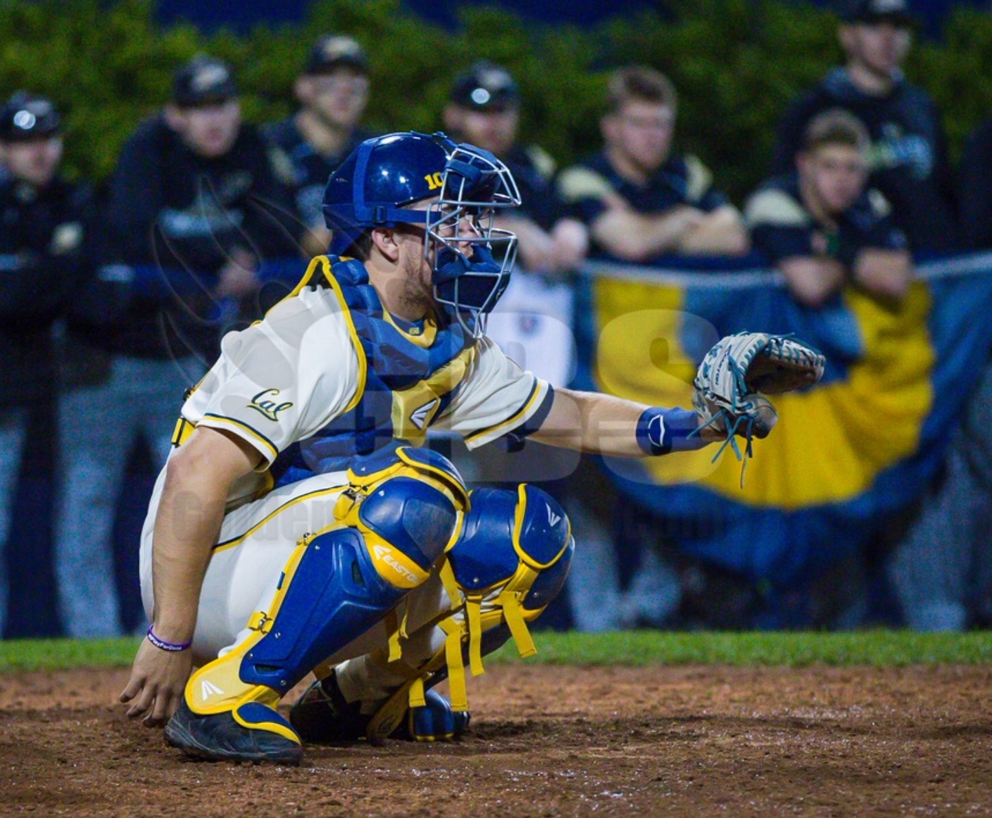Tournaments SoCal Birds Baseball