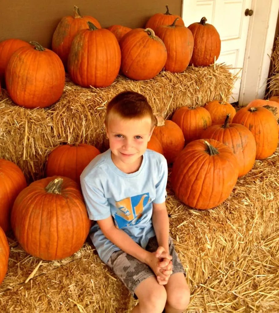 20+ Best Family Farms Near Los Angeles (Updated for 2023) SoCal Field