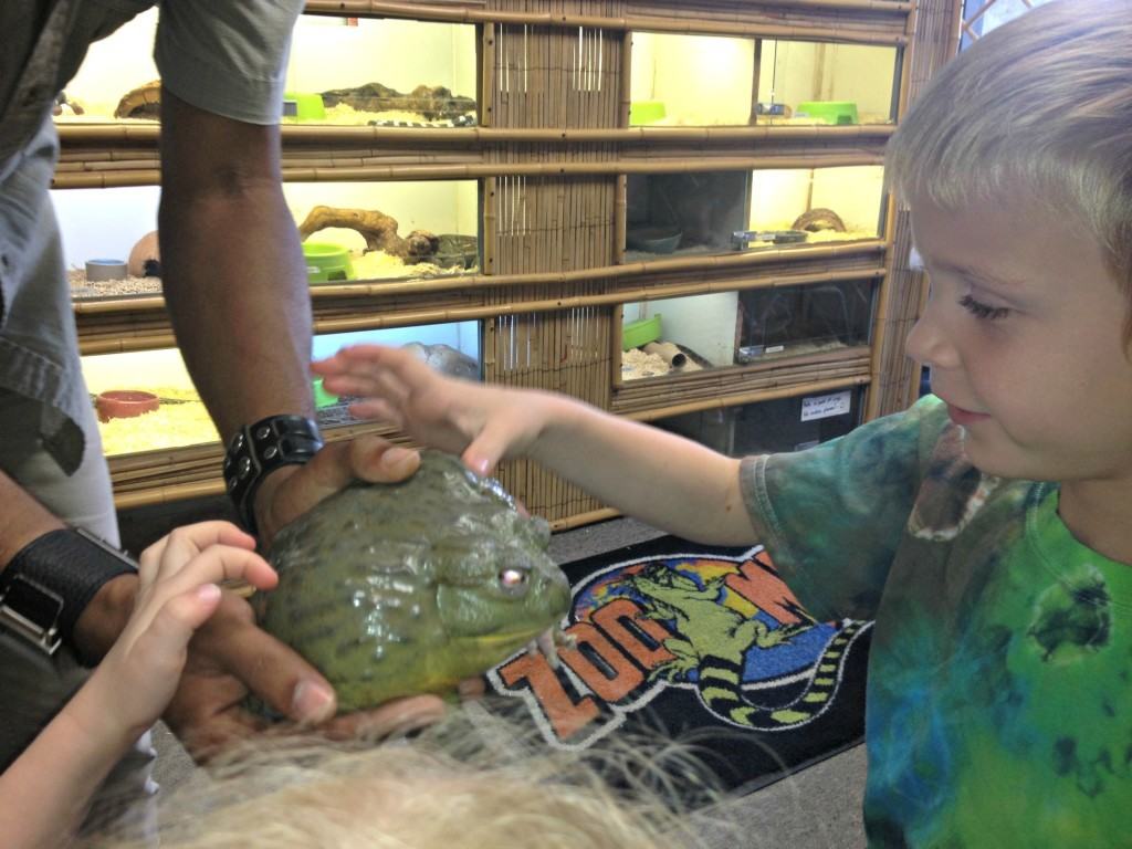 A Field Trip to The Reptile Zoo in Fountain Valley SoCal Field Trips