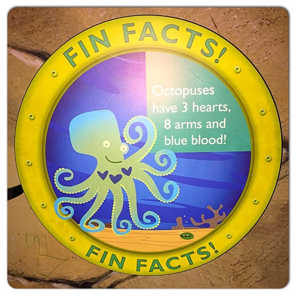 A Picture Tour of Sea Life Aquarium at LEGOLAND California Resort