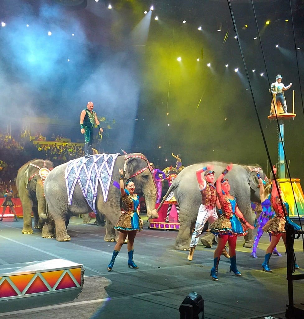 RECAP The Ringling Bros. and Barnum & Bailey Circus Xtreme Performance