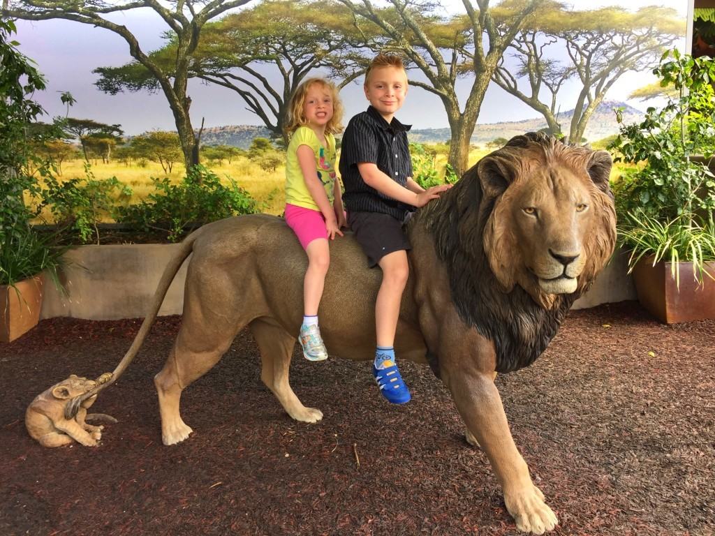 5 Must See Animals At The San Diego Zoo SoCal Field Trips