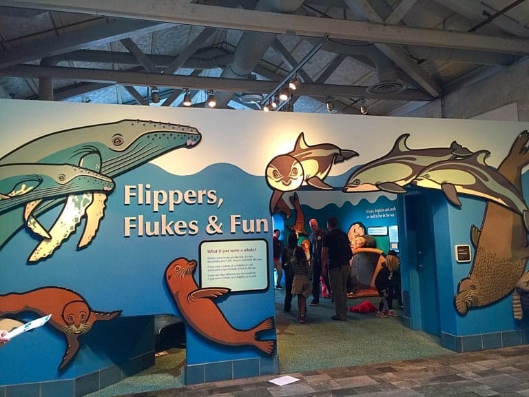 Monterey Bay Aquarium offers free field trips for students.