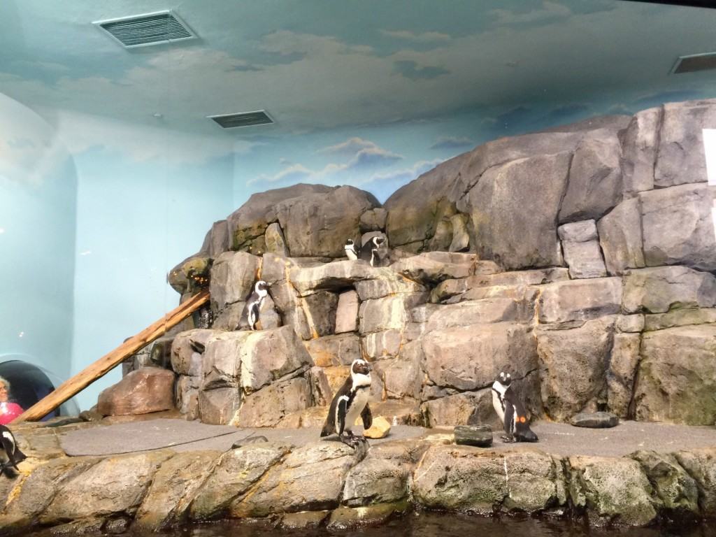 Monterey Bay Aquarium offers free field trips for students.