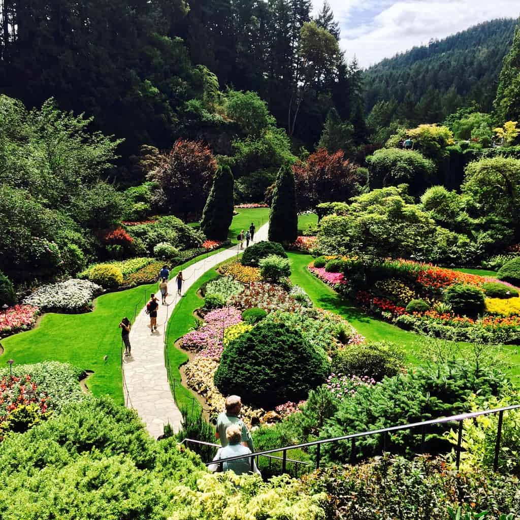 Discover The Stunning Butchart Gardens in Victoria Canada SoCal Field