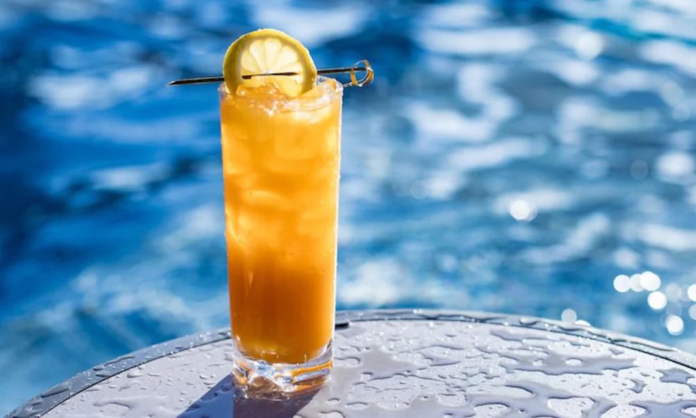 Top San Diego Things to Do in July LaptrinhX / News