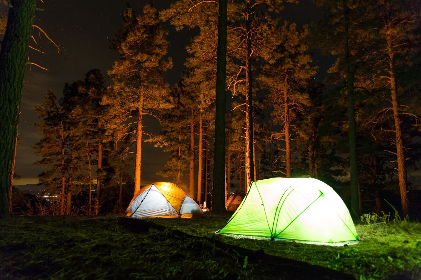 How to Camp for Free (Dispersed Camping) in National Parks and Forests