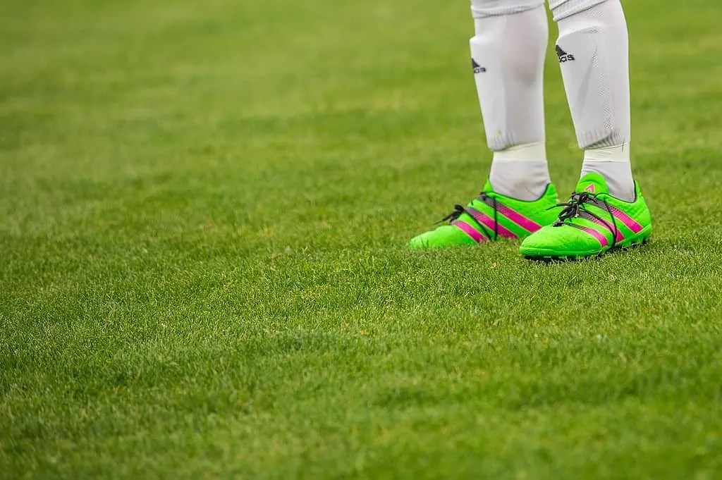 Why Do Pro Soccer Players Wear Shin Guards?