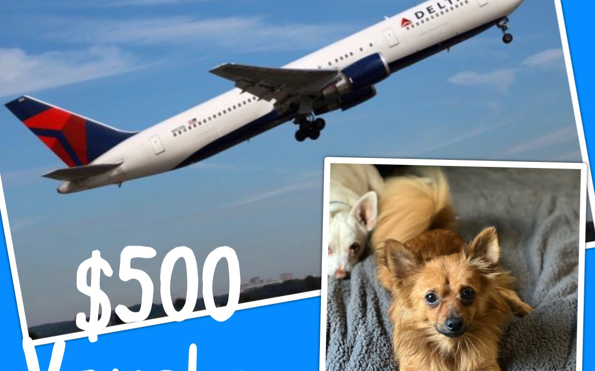 500 DELTA AIRLINES VOUCHER on Social.fund