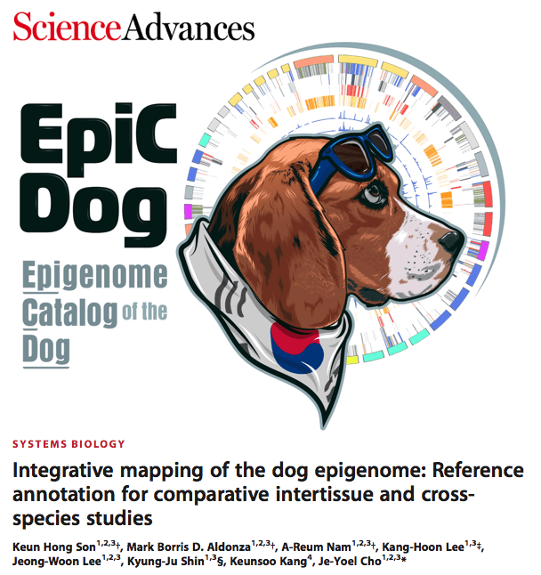 Canine and Dog Behaviour Socialized Dogs