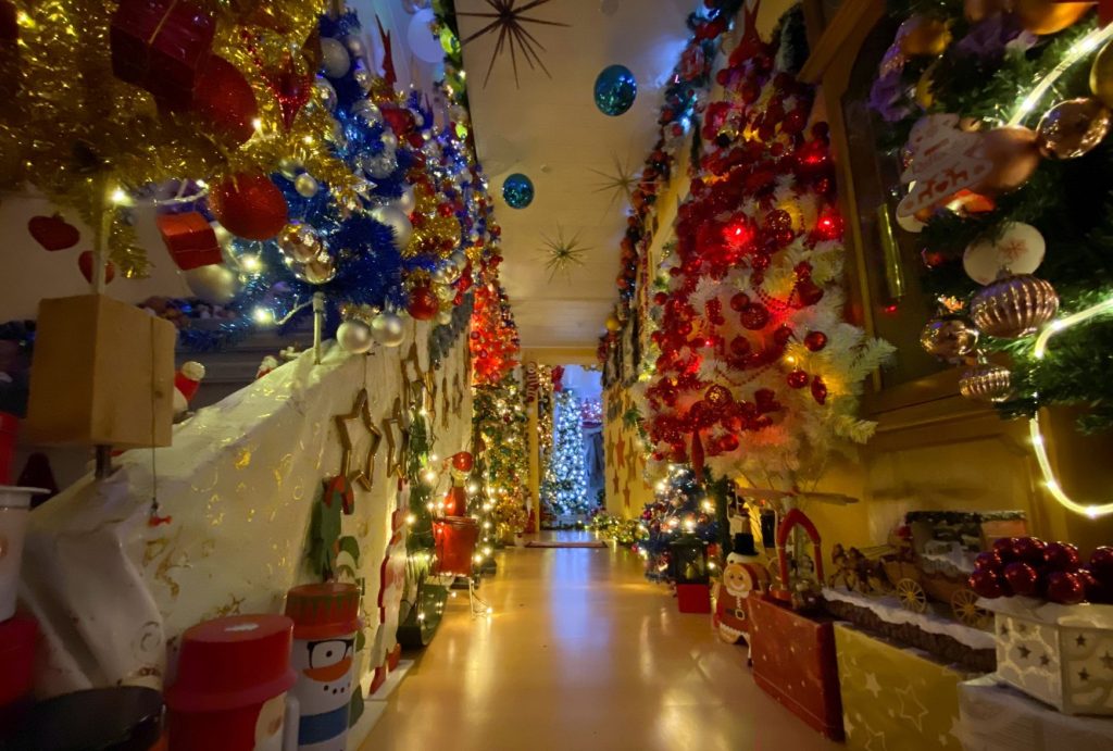 A Family In Germany Have Put Up 444 Christmas Trees In Their House