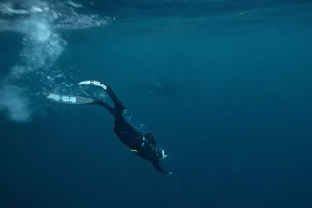 Unbelievable Video Shows What Happens To A FreeDiver's Lungs The