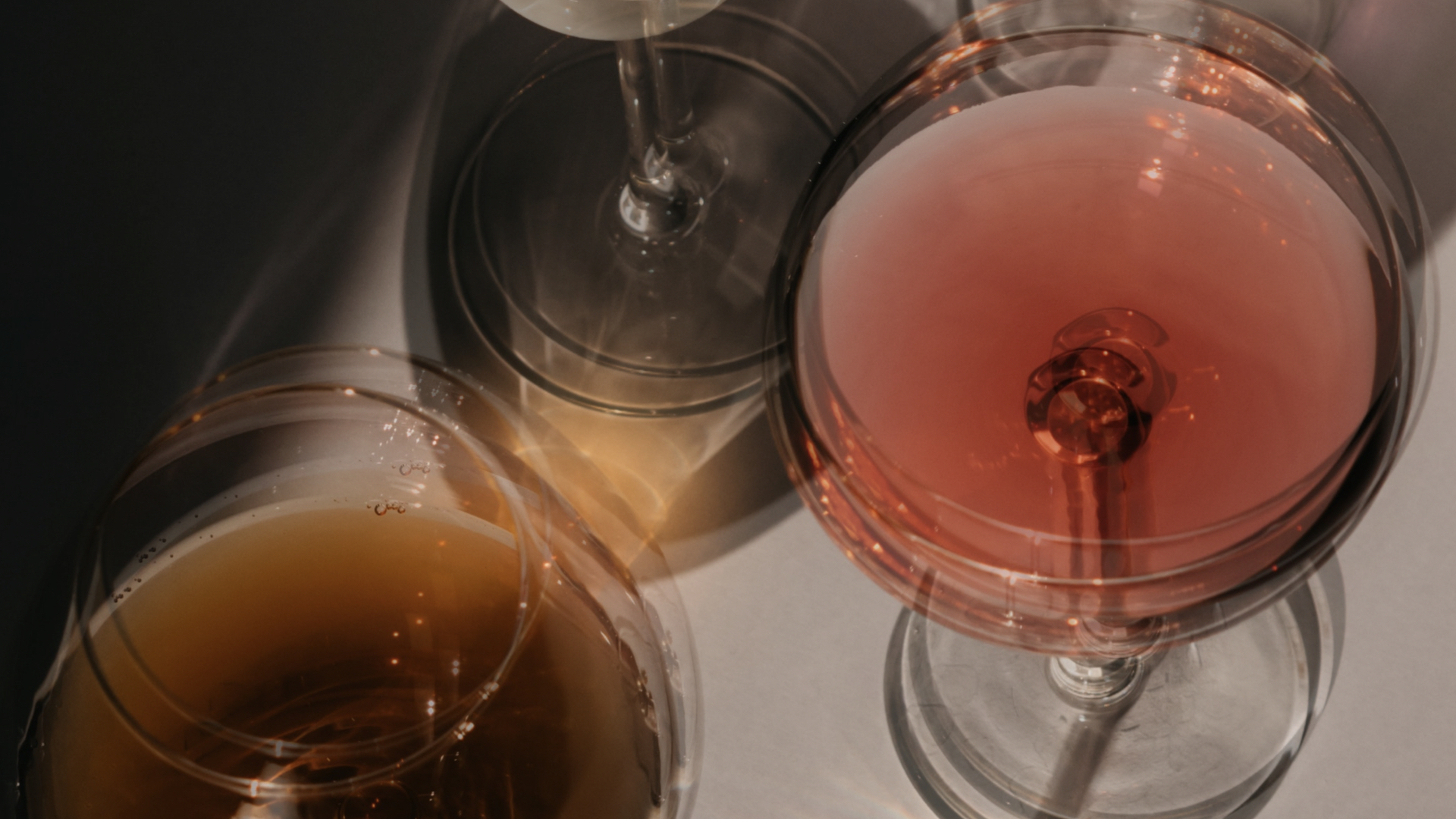 The Only Canned Wine to Drink in 2021 Social Studies