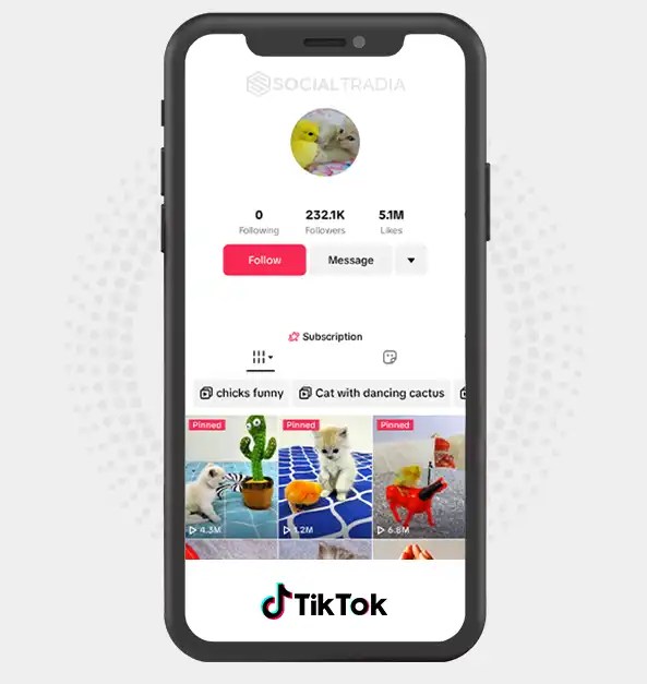 Tick Pet (232 k Followers) Social Tradia