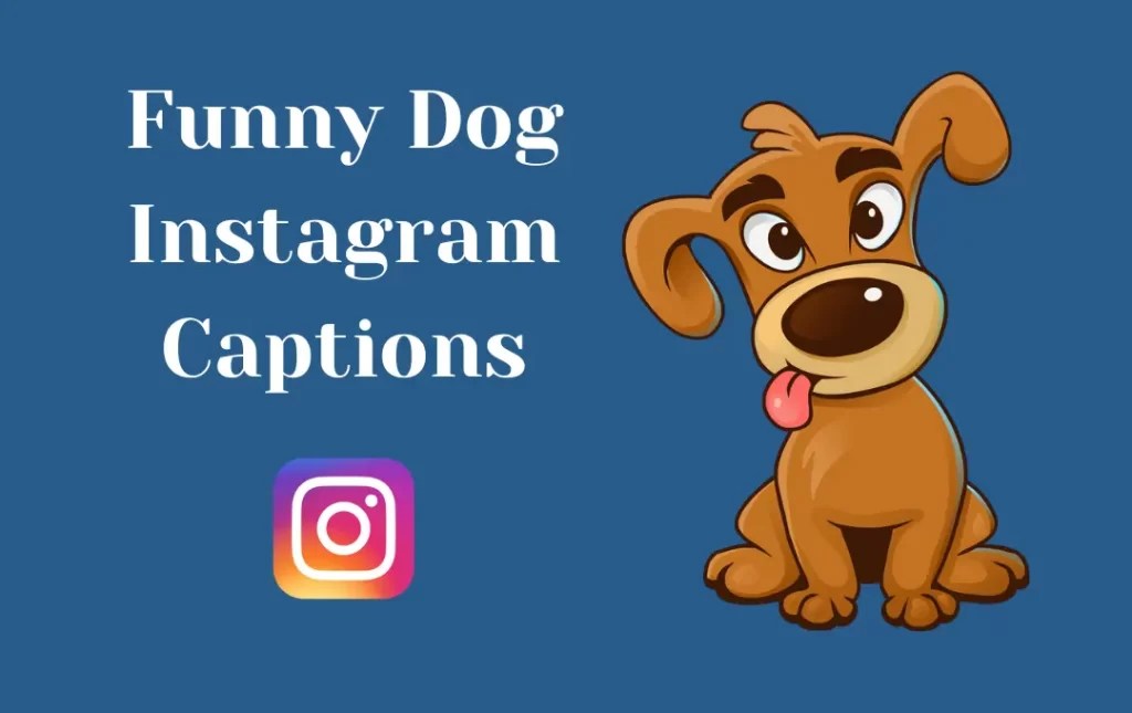 Best Dog Bio for Instagram Instagram Captions for Dog Lovers