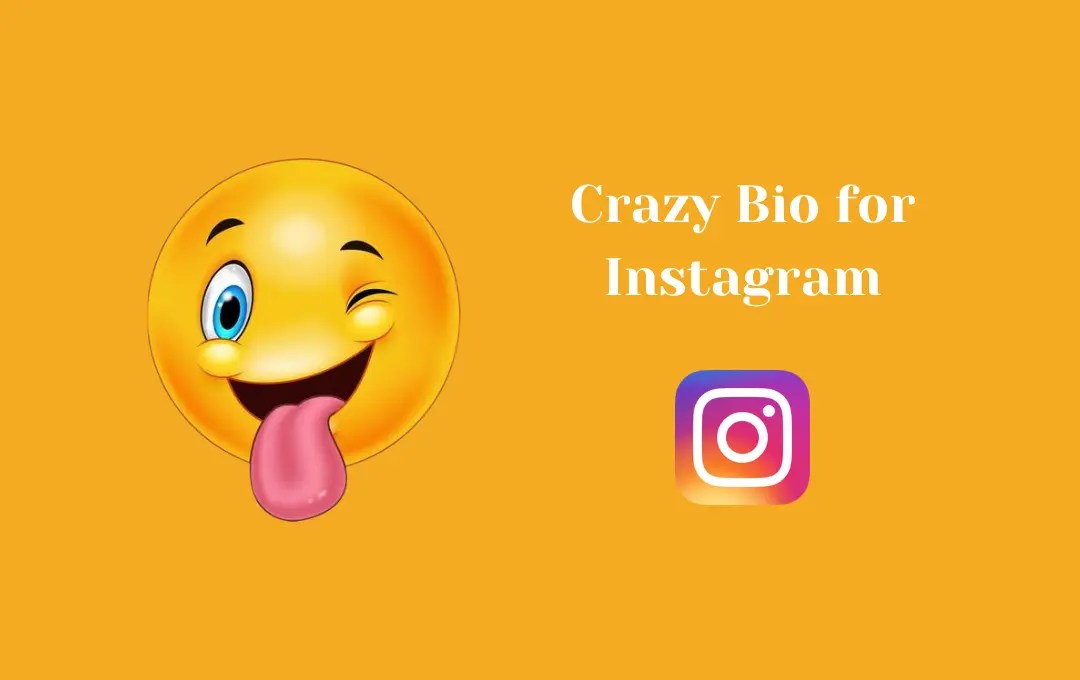 Crazy Bio for Instagram Most Hilarious Instagram Bio