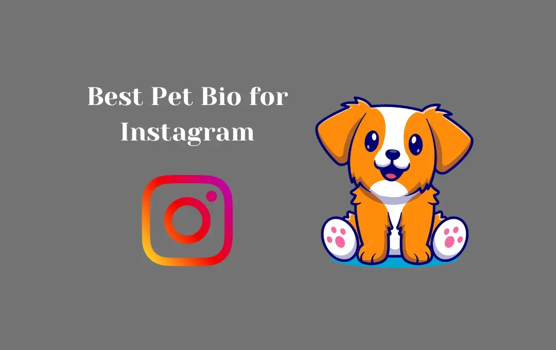 Best Pet Bio for Instagram Pet Captions & Quotes for Instagram Bio