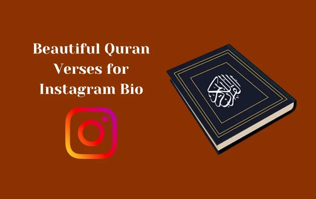 Beautiful Quran Verses for Instagram Bio Islamic Quotes & Captions