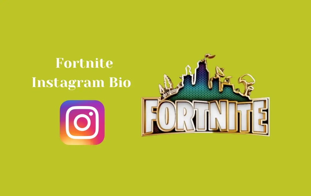 Best Fortnite Instagram Bio Fortnite Captions for Instagram Bio