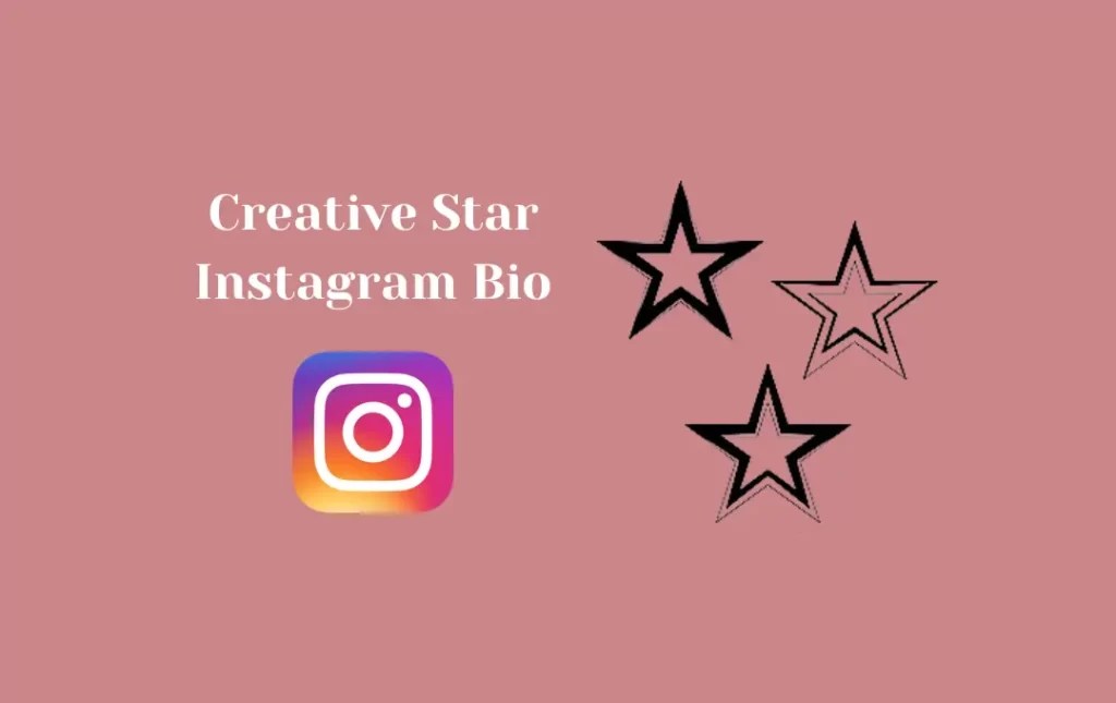 Perfect Star Instagram Bio Star Captions for Instagram Bio