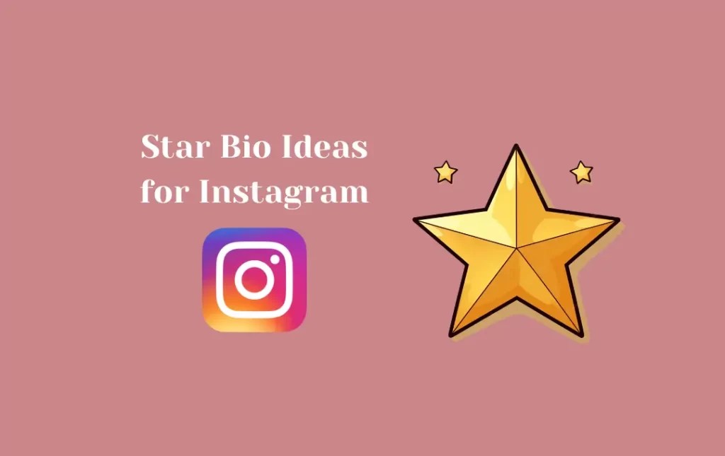 Perfect Star Instagram Bio Star Captions for Instagram Bio
