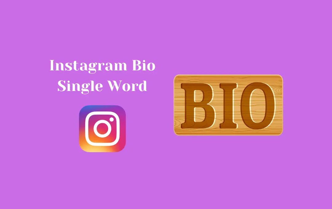 Best Instagram Bio Single Word One Word Bio Captions for Instagram