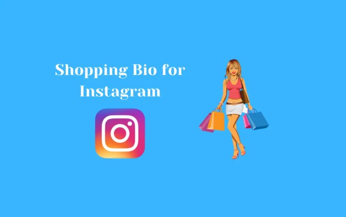 Cara membuat bio instagram olshop