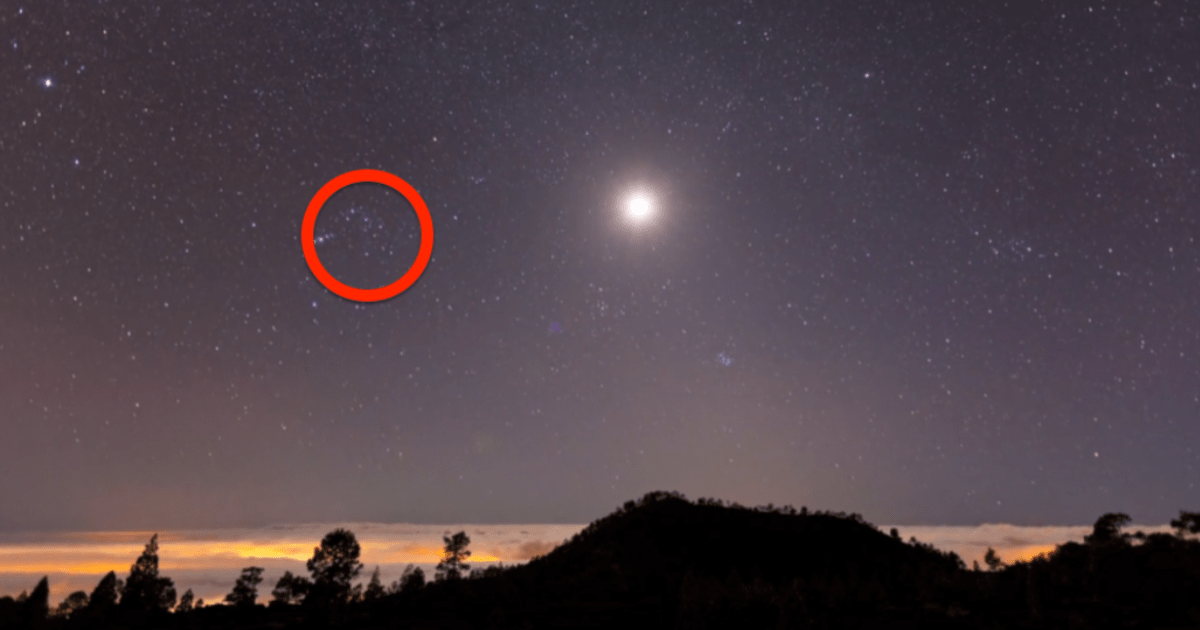 This guy filmed heaven for 7 days. What he caught on