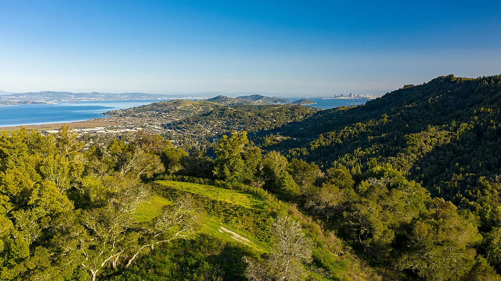 Auction of Marin MegaEstate Site Fades to Black