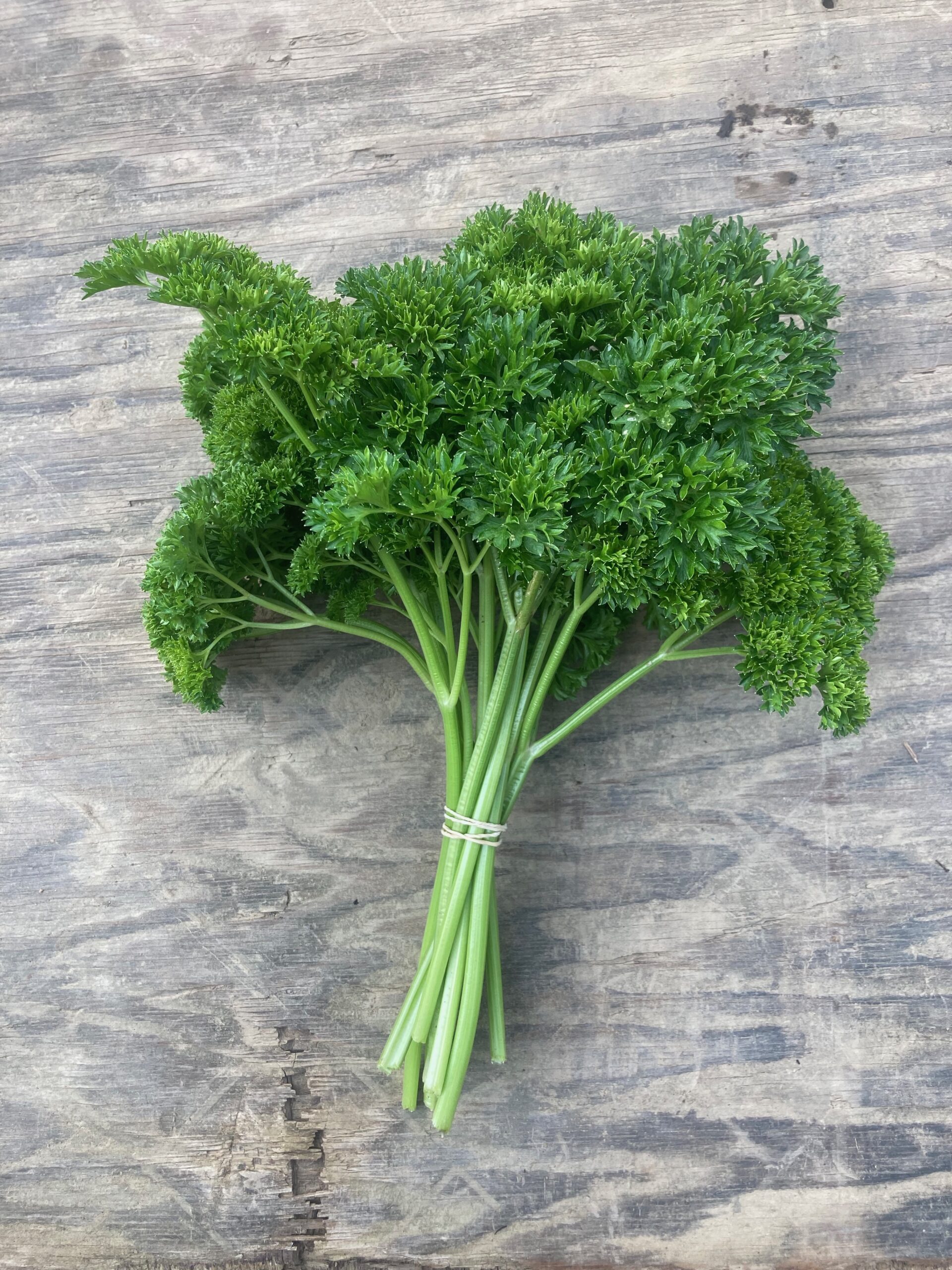 Curly Leaf Parsley So Delish