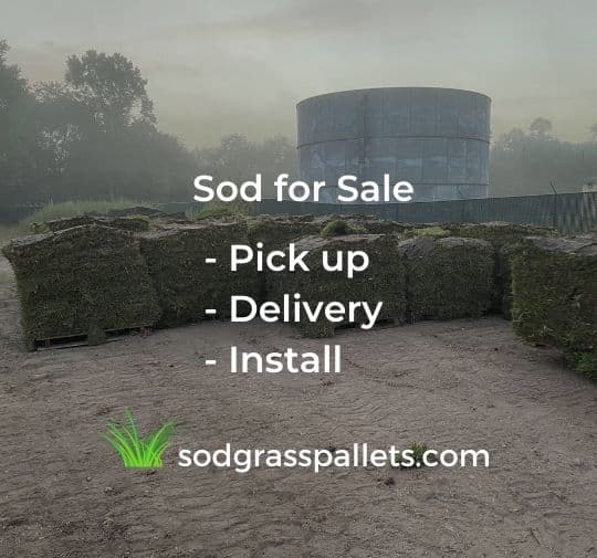 Best Sod Supplier Near You Sod Lawn Installation Houston TX
