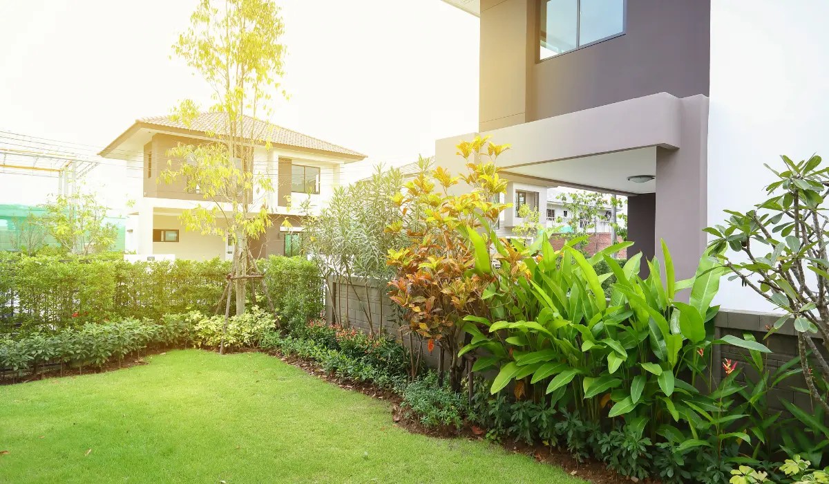 Why Is My Grass Different Shades of Green? Sodlawn