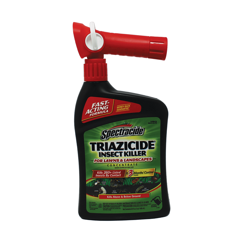 How to Plant Grass Seed Sod University Sod Solutions