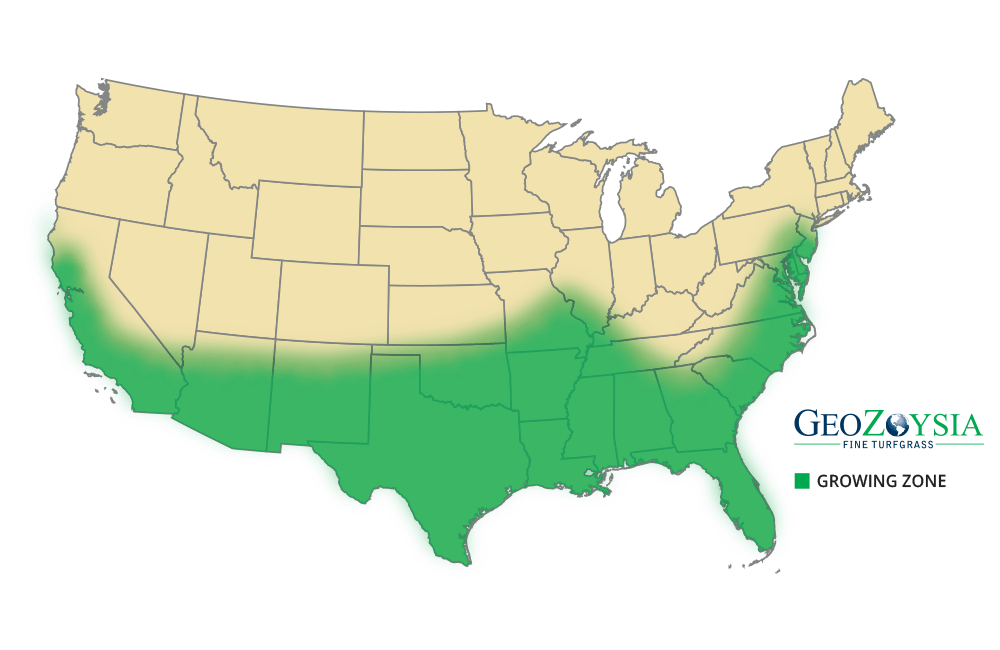Sod Solutions Pro Geo™ Zoysia