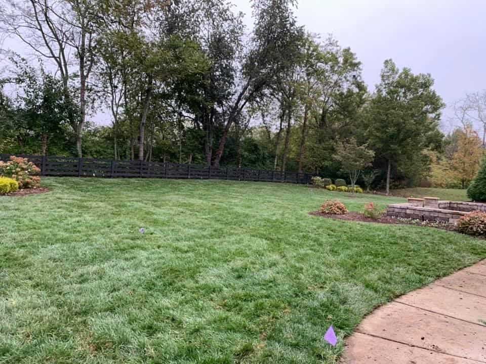 Fescue Sod Sod Source TN LLC