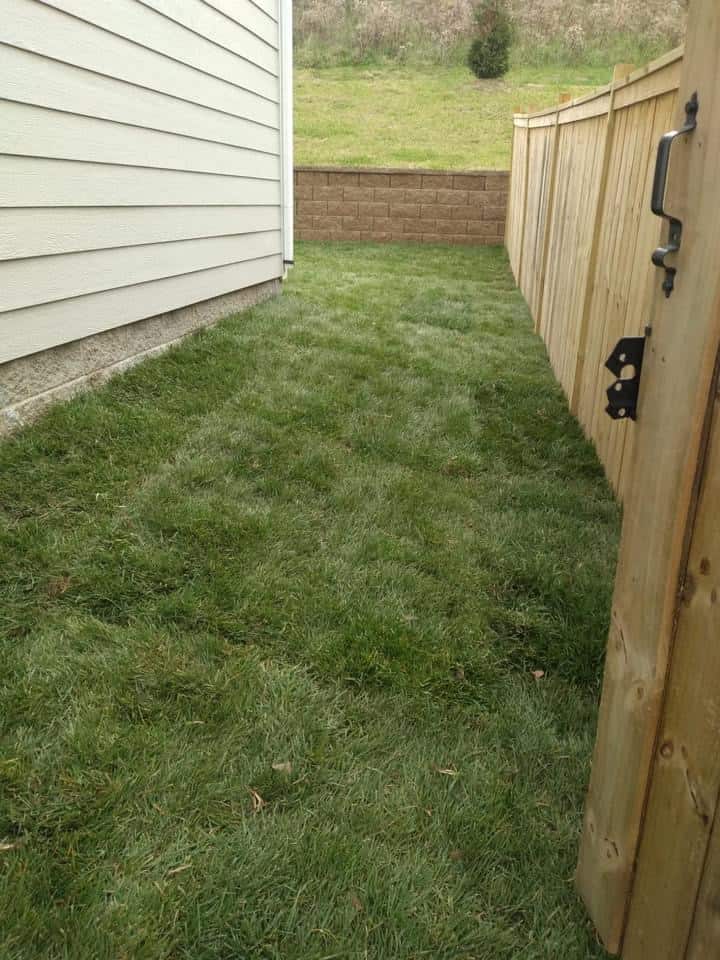 Fescue Sod Sod Source TN LLC